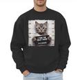 Cute Cat Mugshot Humorous Cat For Cats Lover Cat Mom Cat Dad Men Sweatshirt