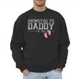 Promoted To Daddy Est 2026 Shirt New Daddy New Dad Men Sweatshirt