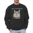 Rage Is Consuming Me Silly Staring Cat Meme Dad Mom Men Sweatshirt Rage Is Consuming Me Silly Staring Cat Meme Dad Mom Men Sweatshirt