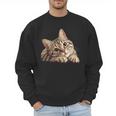 Tabby Cat Mom Dad Pet Shop Tabby Cats Kitten Tabby Cat Men Sweatshirt Tabby Cat Mom Dad Pet Shop Tabby Cats Kitten Tabby Cat Men Sweatshirt
