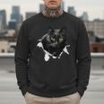 Cat Torn Cloth For Cat Lover Cat Dad Cat Mom Men Sweatshirt
