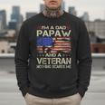 I'm A Dad Papaw And Veteran Retro Dad Papa Grandpa Men Sweatshirt