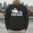 Papa Bear Two Cubs Shirt Daddy Bear Twin Tshirt Papa 2 Kids Men Sweatshirt