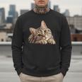 Tabby Cat Mom Dad Pet Shop Tabby Cats Kitten Tabby Cat Men Sweatshirt Tabby Cat Mom Dad Pet Shop Tabby Cats Kitten Tabby Cat Men Sweatshirt