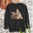 Tabby Cat Mom Dad Pet Shop Tabby Cats Kitten Tabby Cat Men Sweatshirt Tabby Cat Mom Dad Pet Shop Tabby Cats Kitten Tabby Cat Men Sweatshirt