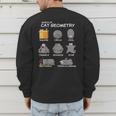 Cat Geometry Math Cat For Cat Dad Cat Mom Kids Men's Sweatshirt Back Print
