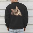 Tabby Cat Mom Dad Pet Shop Tabby Cats Kitten Tabby Cat Men's Sweatshirt Back Print