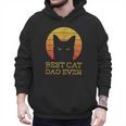 Best Cat Dad Ever Vintage Cat Daddy Fathers Day Men Hoodie