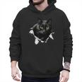 Cat Torn Cloth For Cat Lover Cat Dad Cat Mom Men Hoodie