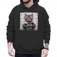 Cute Cat Mugshot Humorous Cat For Cats Lover Cat Mom Cat Dad Men Hoodie Cute Cat Mugshot Humorous Cat For Cats Lover Cat Mom Cat Dad Men Hoodie