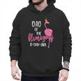 Dad Of B-Day Girl Flamazing Pink Flamingo Birthday Party Men Hoodie Dad Of B-Day Girl Flamazing Pink Flamingo Birthday Party Men Hoodie