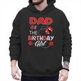 Dad Of The Birthday Girl Family Ladybug Birthday Men Hoodie