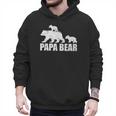 Papa Bear Two Cubs Shirt Daddy Bear Twin Tshirt Papa 2 Kids Men Hoodie