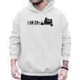 I Am 59 Plus 1 Middle Finger For A 60th Birthday Cat Mom Dad Men Hoodie