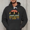 Best Cat Dad Ever Retro Style Cats Lover Men Hoodie