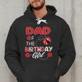 Dad Of The Birthday Girl Family Ladybug Birthday Men Hoodie