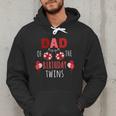 Dad Of The Birthday Twins Ladybug Birthday Family Matching Men Hoodie