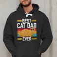 Orange Cat Best Cat Dad Ever Orange Tabby Cat Men Hoodie