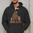 Papa Bear Dad Two Cubs Daddy Bear 2 Kids Father's Day Men Hoodie