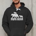 Papa Bear Two Cubs Shirt Daddy Bear Twin Tshirt Papa 2 Kids Men Hoodie