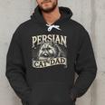 Persian Cat Dad Persian Cats Persian Cat Lover Men Hoodie Persian Cat Dad Persian Cats Persian Cat Lover Men Hoodie
