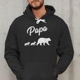 Twin Dad Papa Bear Two Cubs 2 Kids Men Hoodie