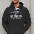 Vintage Promoted To Grandad Est 2025 Saying Retro Men Hoodie Vintage Promoted To Grandad Est 2025 Saying Retro Men Hoodie
