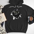 Cat Torn Cloth For Cat Lover Cat Dad Cat Mom Men Hoodie