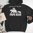 Papa Bear Two Cubs Shirt Daddy Bear Twin Tshirt Papa 2 Kids Men Hoodie