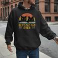 Best Cat Dad Ever Retro Style Cats Lover Men Hoodie