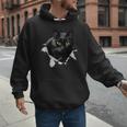 Cat Torn Cloth For Cat Lover Cat Dad Cat Mom Men Hoodie