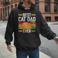 Orange Cat Best Cat Dad Ever Orange Tabby Cat Men Hoodie