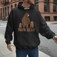 Papa Bear Dad Two Cubs Daddy Bear 2 Kids Father's Day Men Hoodie
