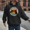 Retro Cat Dad Ever Cats Lovers For Men Women And Kids Men Hoodie