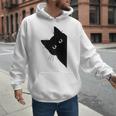 Curious Cat Peeking Sneaky Cat Cat Mom Cat Dad Men Hoodie Curious Cat Peeking Sneaky Cat Cat Mom Cat Dad Men Hoodie