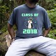 Pinguin Class 2018 Shirt Graduation Kids Graduate Men's Comfort Colors T-Shirt Denim