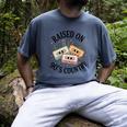 Raised On 90's Country Music Lover Nostalgia Retro Vibe Premium Tri-Blend Men's Comfort Colors T-Shirt Denim